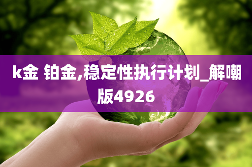 k金 铂金,稳定性执行计划_解嘲版4926