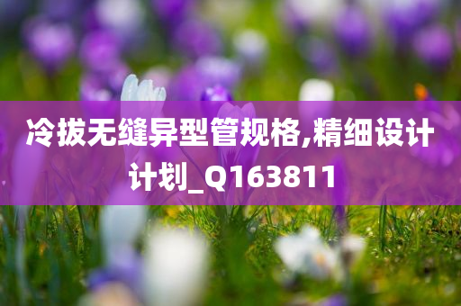 冷拔无缝异型管规格,精细设计计划_Q163811