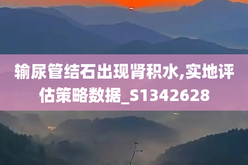 输尿管结石出现肾积水,实地评估策略数据_S1342628