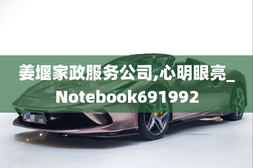 姜堰家政服务公司,心明眼亮_Notebook691992