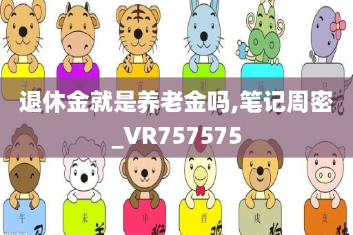 退休金就是养老金吗,笔记周密_VR757575