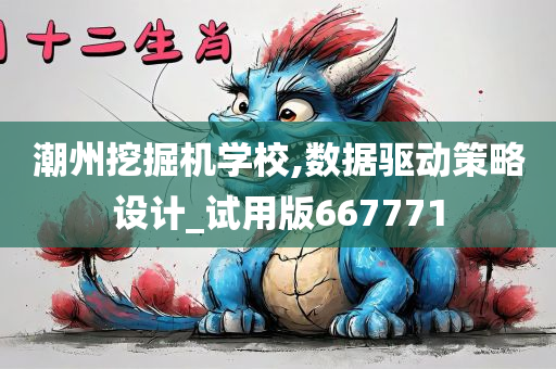 潮州挖掘机学校,数据驱动策略设计_试用版667771