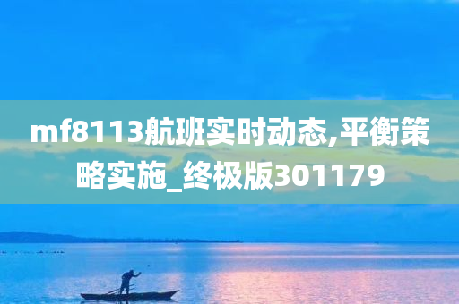 mf8113航班实时动态,平衡策略实施_终极版301179