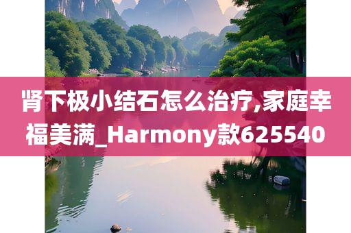 肾下极小结石怎么治疗,家庭幸福美满_Harmony款625540