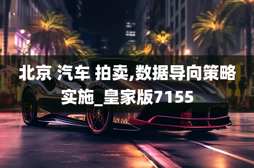 北京 汽车 拍卖,数据导向策略实施_皇家版7155