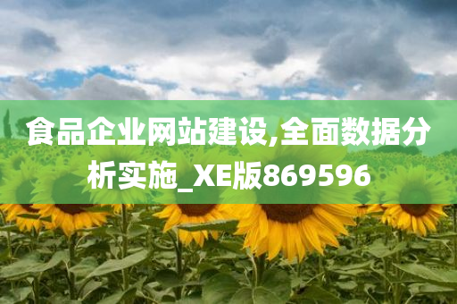 食品企业网站建设,全面数据分析实施_XE版869596