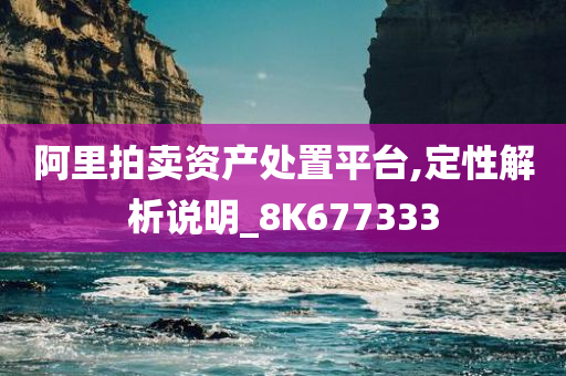 阿里拍卖资产处置平台,定性解析说明_8K677333