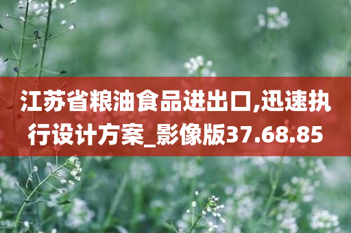 江苏省粮油食品进出口,迅速执行设计方案_影像版37.68.85