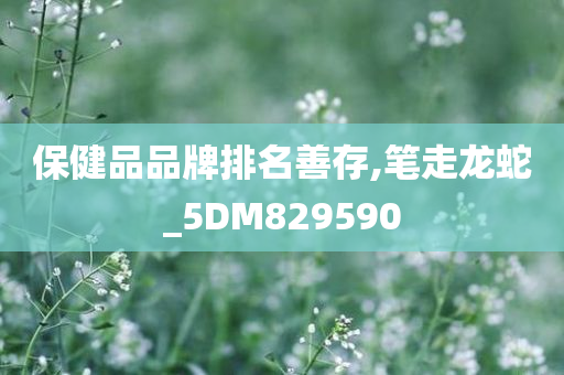 保健品品牌排名善存,笔走龙蛇_5DM829590