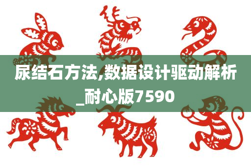 尿结石方法,数据设计驱动解析_耐心版7590