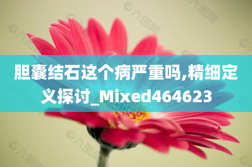 胆囊结石这个病严重吗,精细定义探讨_Mixed464623