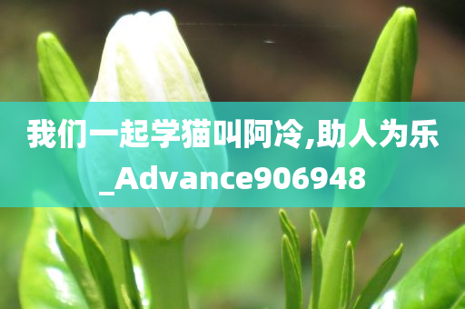 我们一起学猫叫阿冷,助人为乐_Advance906948