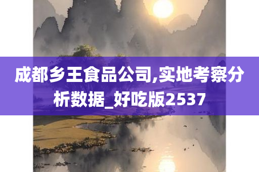 成都乡王食品公司,实地考察分析数据_好吃版2537