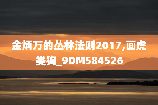 金炳万的丛林法则2017,画虎类狗_9DM584526