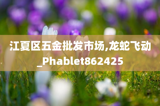 江夏区五金批发市场,龙蛇飞动_Phablet862425