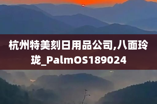 杭州特美刻日用品公司,八面玲珑_PalmOS189024