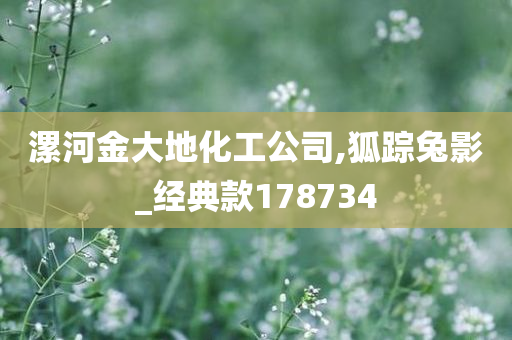 漯河金大地化工公司,狐踪兔影_经典款178734