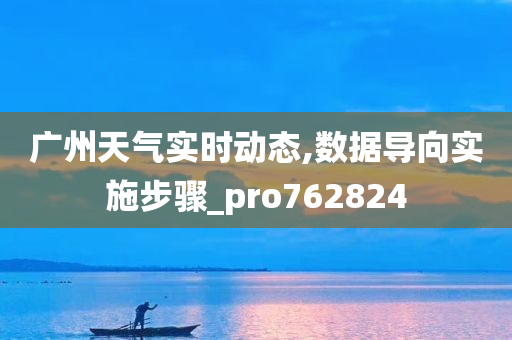 广州天气实时动态,数据导向实施步骤_pro762824