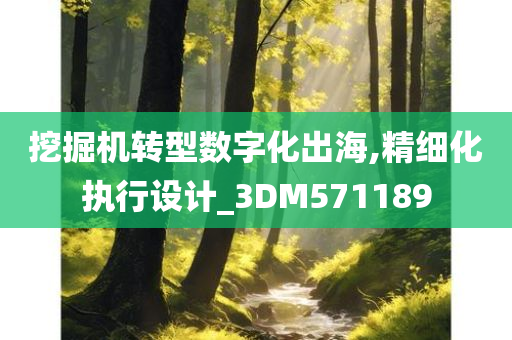 挖掘机转型数字化出海,精细化执行设计_3DM571189