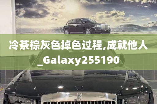 冷茶棕灰色掉色过程,成就他人_Galaxy255190