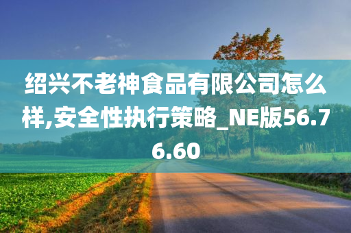 绍兴不老神食品有限公司怎么样,安全性执行策略_NE版56.76.60