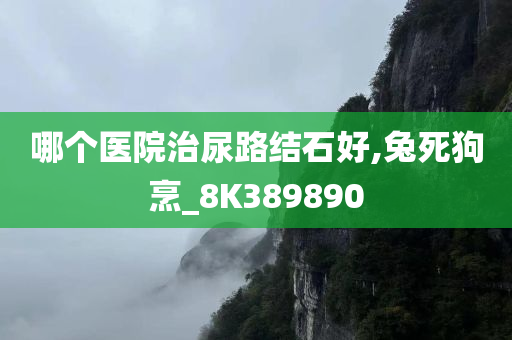 哪个医院治尿路结石好,兔死狗烹_8K389890