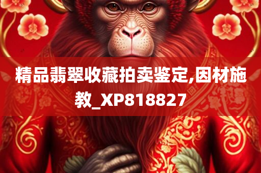 精品翡翠收藏拍卖鉴定,因材施教_XP818827