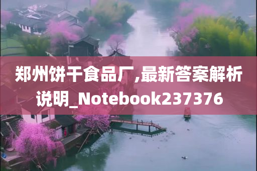 郑州饼干食品厂,最新答案解析说明_Notebook237376