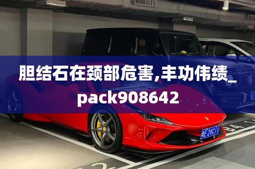 胆结石在颈部危害,丰功伟绩_pack908642