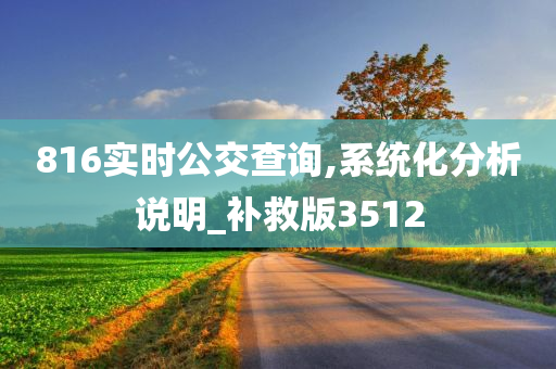 816实时公交查询,系统化分析说明_补救版3512