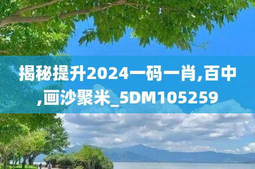 揭秘提升2024一码一肖,百中,画沙聚米_5DM105259