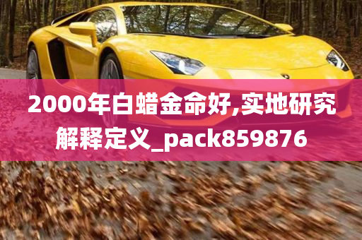 2000年白蜡金命好,实地研究解释定义_pack859876