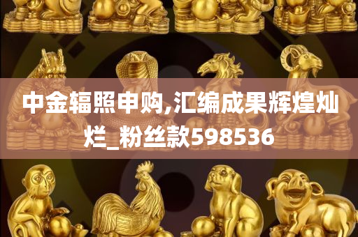 中金辐照申购,汇编成果辉煌灿烂_粉丝款598536