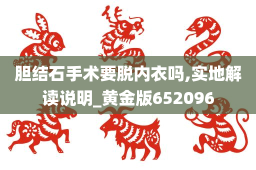 胆结石手术要脱内衣吗,实地解读说明_黄金版652096