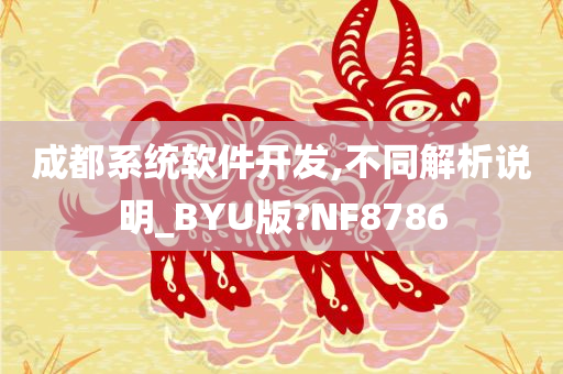 成都系统软件开发,不同解析说明_BYU版?NF8786