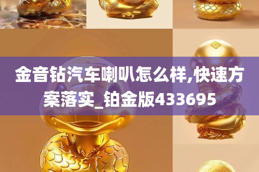 金音钻汽车喇叭怎么样,快速方案落实_铂金版433695