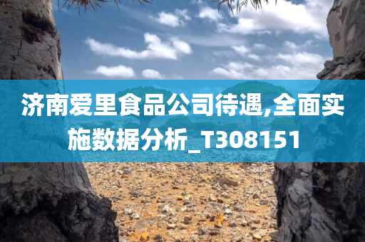 济南爱里食品公司待遇,全面实施数据分析_T308151