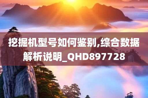 挖掘机型号如何鉴别,综合数据解析说明_QHD897728