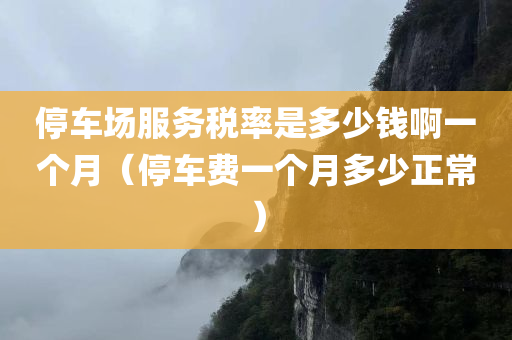 停车场服务税率是多少钱啊一个月（停车费一个月多少正常）