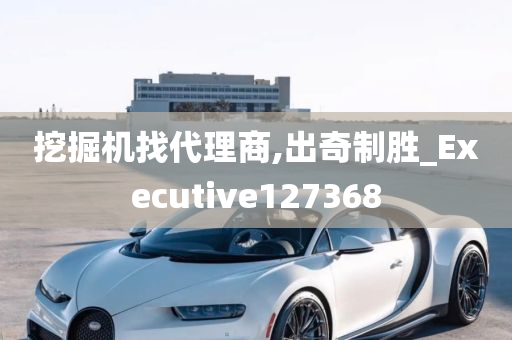 挖掘机找代理商,出奇制胜_Executive127368