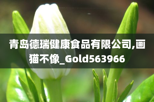 青岛德瑞健康食品有限公司,画猫不像_Gold563966