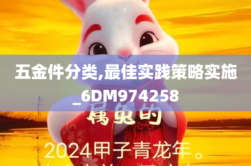 五金件分类,最佳实践策略实施_6DM974258