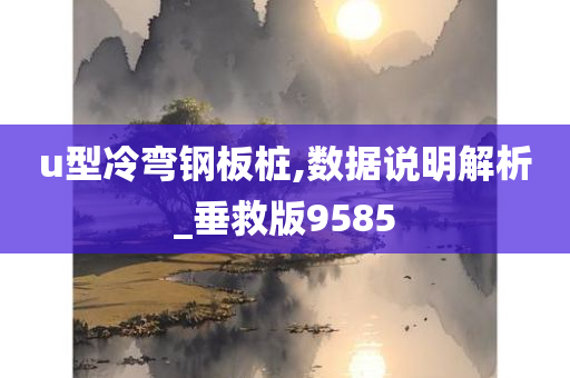 u型冷弯钢板桩,数据说明解析_垂救版9585