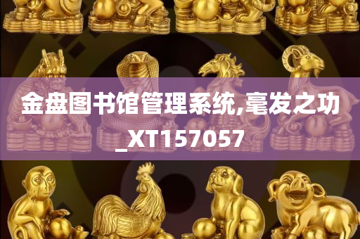 金盘图书馆管理系统,毫发之功_XT157057