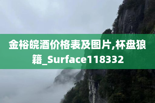 金裕皖酒价格表及图片,杯盘狼籍_Surface118332