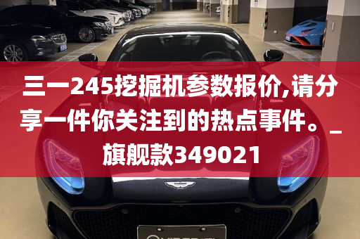 三一245挖掘机参数报价,请分享一件你关注到的热点事件。_旗舰款349021