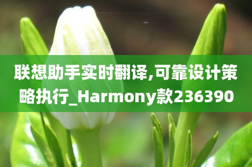 联想助手实时翻译,可靠设计策略执行_Harmony款236390