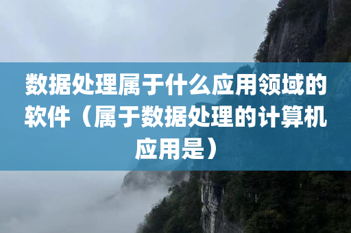 数据处理属于什么应用领域的软件（属于数据处理的计算机应用是）