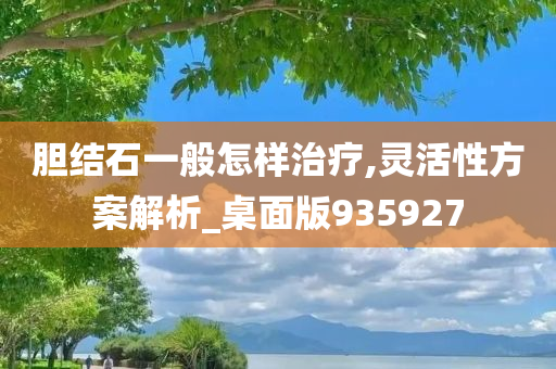 胆结石一般怎样治疗,灵活性方案解析_桌面版935927