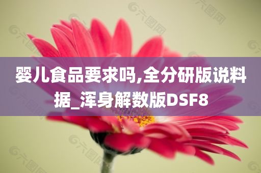 婴儿食品要求吗,全分研版说料据_浑身解数版DSF8